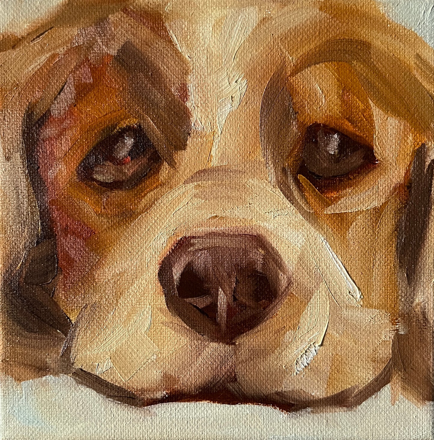 Puppy eyes