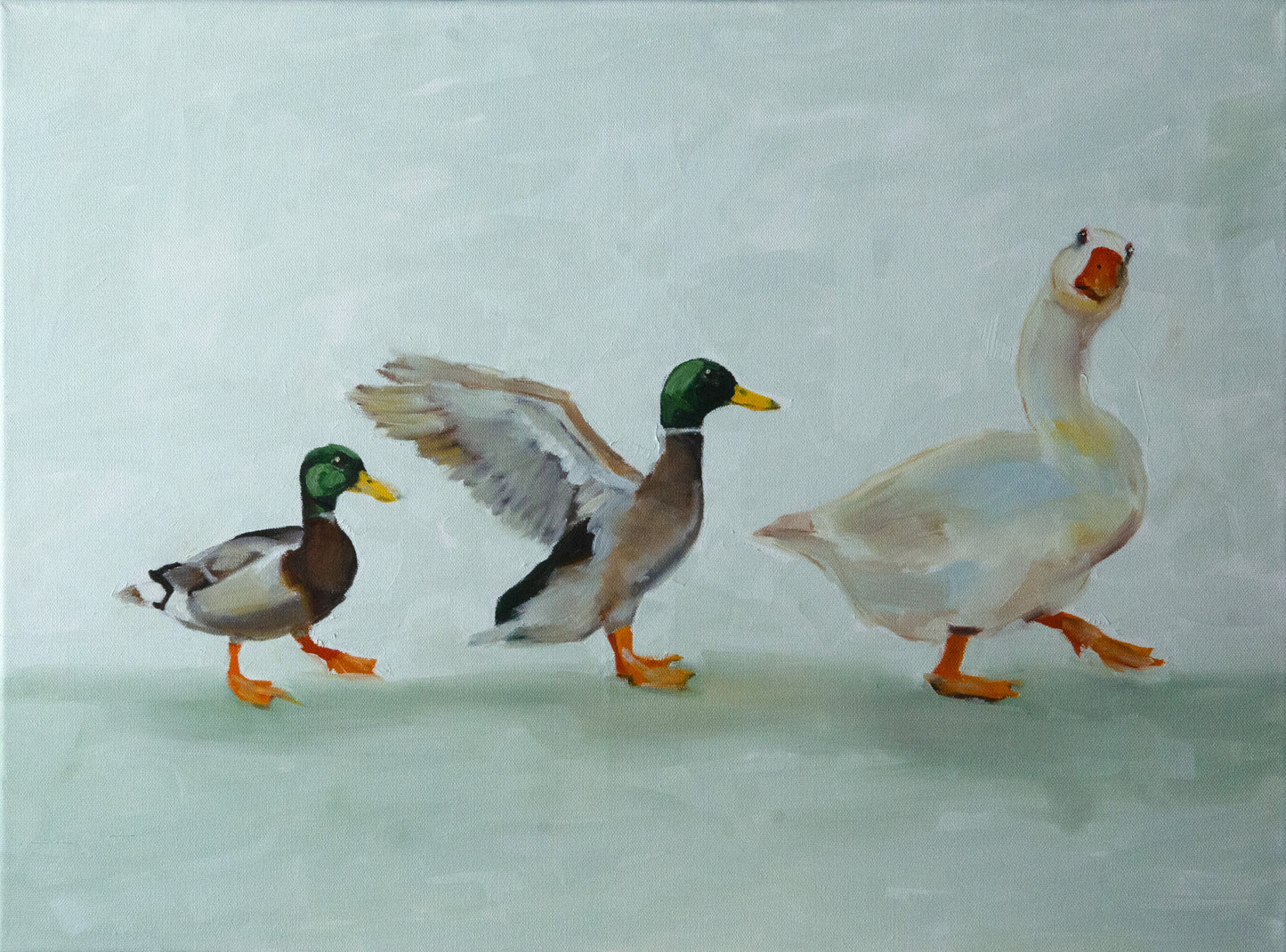 Duck, Duck, Goose - 24"x18"