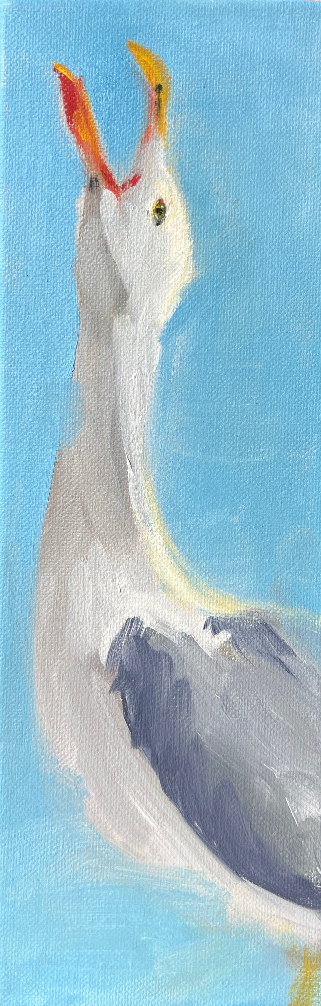 Seagull