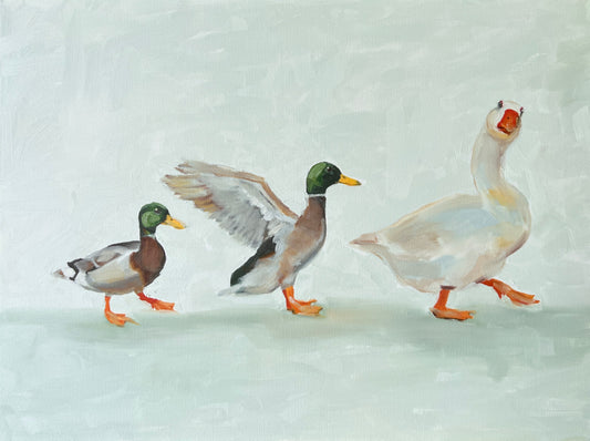 Duck, duck, goose