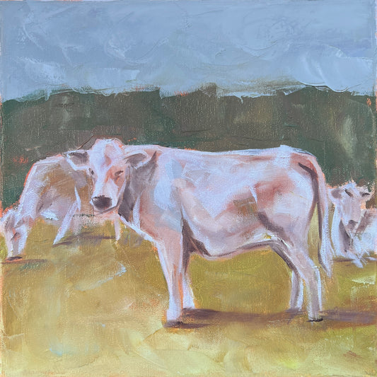 Curious Cows - 12”x12”