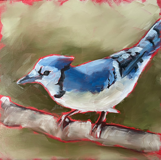 Bluejay -10”x10”