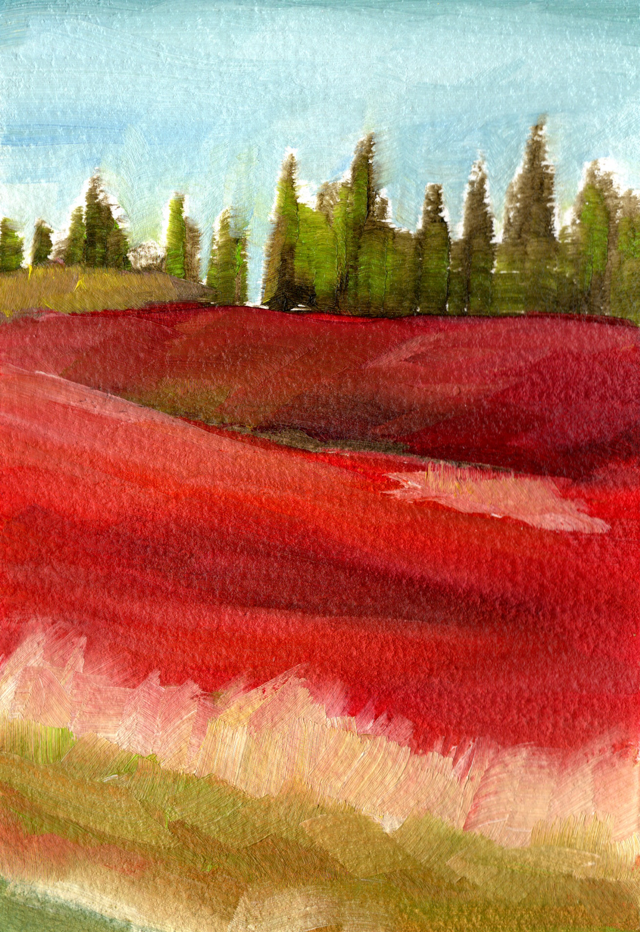 Red Fields of PEI 5x7