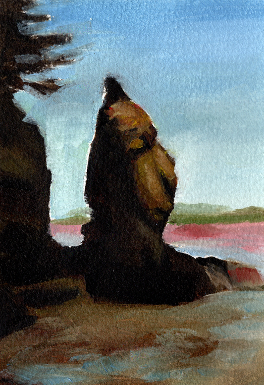 Face of Hopewell Rocks 5x7